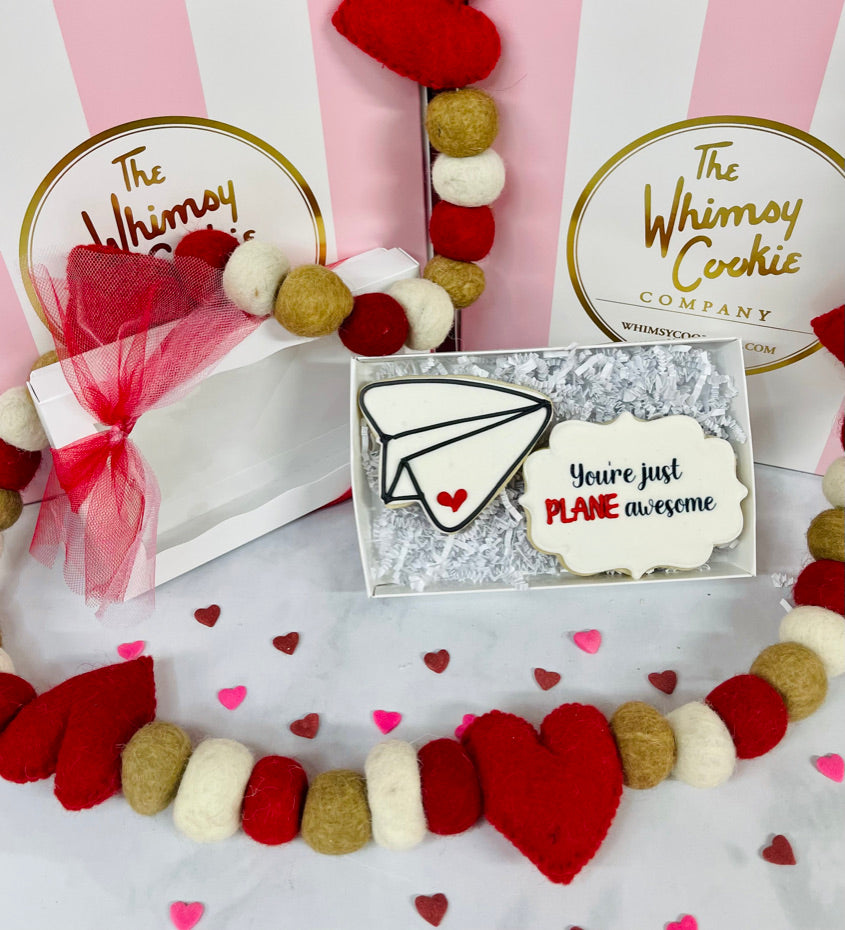 You're Just Plane Awesome Gift Set