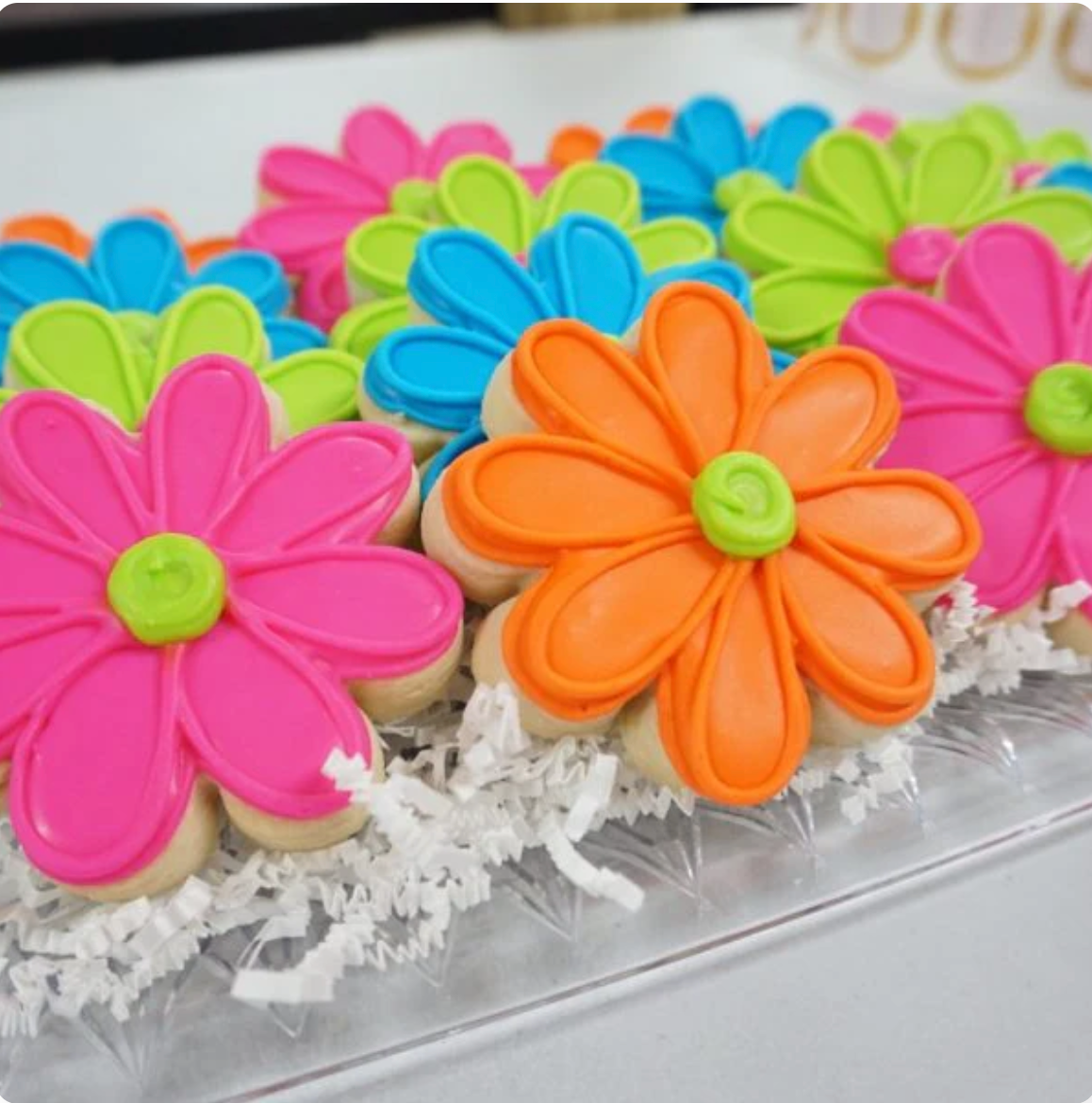 Bright Daisies
